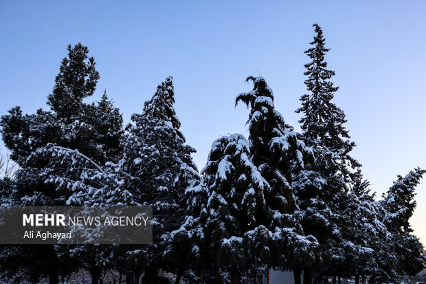 چهره زمستانی ارومیه پس از بارش برف