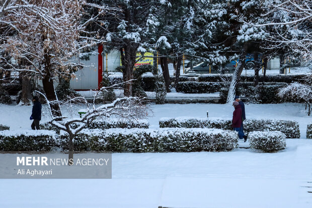 چهره زمستانی ارومیه پس از بارش برف