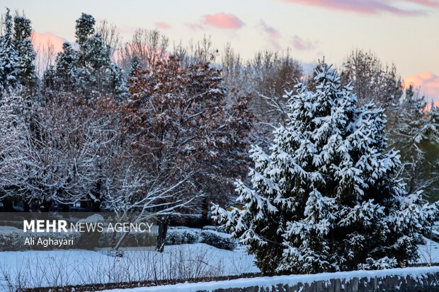 چهره زمستانی ارومیه پس از بارش برف