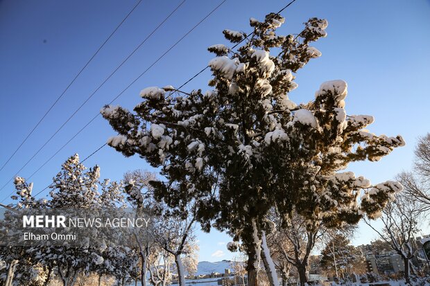 بارش اولین برف زمستانی در سنندج