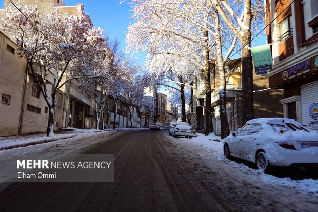 بارش اولین برف زمستانی در سنندج