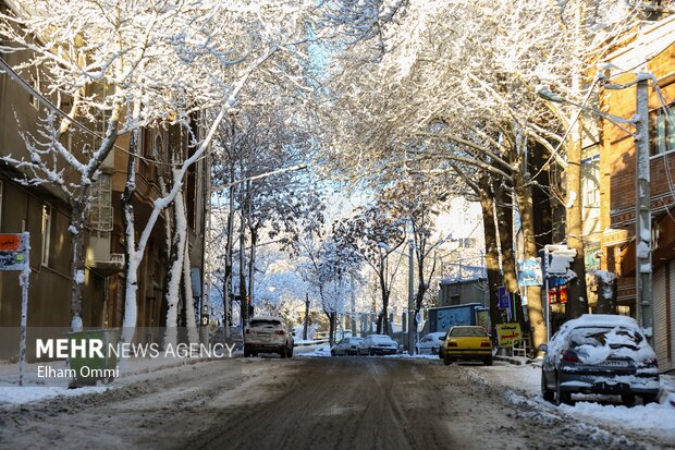 بارش اولین برف زمستانی در سنندج