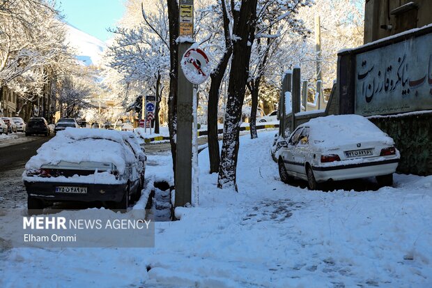 بارش اولین برف زمستانی در سنندج