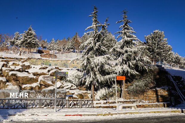 بارش اولین برف زمستانی در سنندج