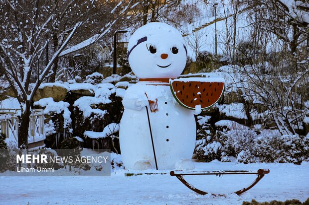 بارش اولین برف زمستانی در سنندج