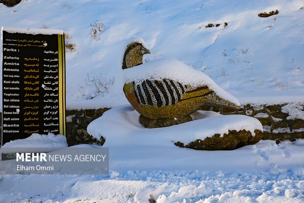 بارش اولین برف زمستانی در سنندج