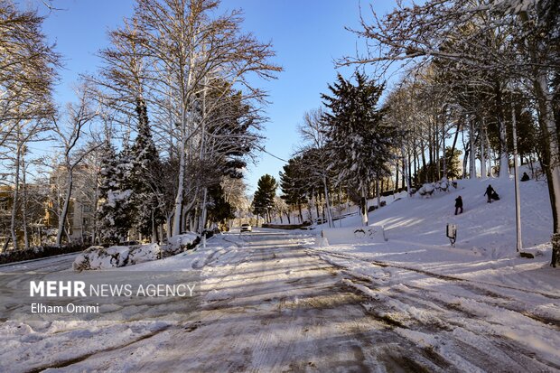 بارش اولین برف زمستانی در سنندج