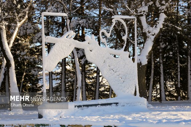 بارش اولین برف زمستانی در سنندج