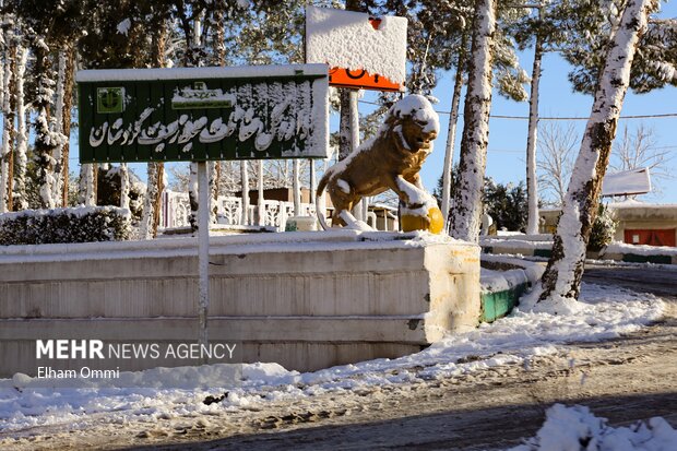 بارش اولین برف زمستانی در سنندج
