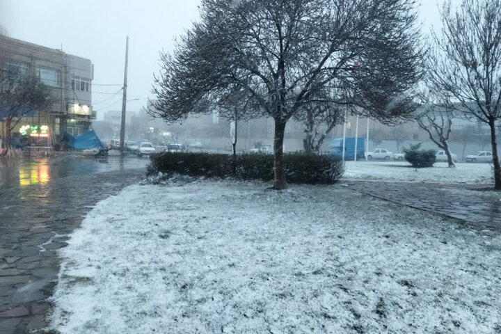 بارش برف زمستانی در چناران