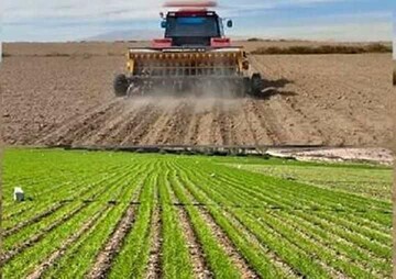 اینفوگرافیک؛ کشت گندم و جو پاییزه در ۱۴ هزار هکتار از زمین‌های گیلان