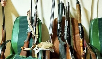 اصلانی: ۷ قبضه سلاح شکاری در شاهین دژ کشف شد
