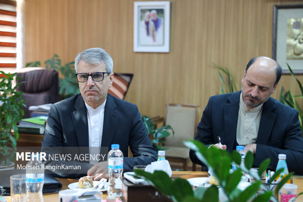 حضور سخنگوی وزارت امور خارجه در گروه رسانه‌ای مهر