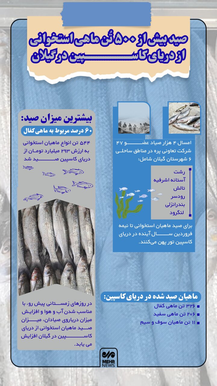 اینفوگرافیک؛ صید ۵۴۴ تن ماهی استخوانی از دریای کاسپین در گیلان