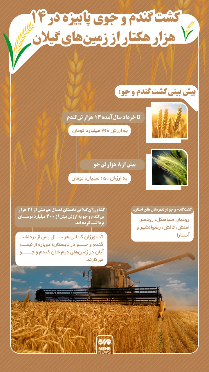 اینفوگرافیک؛ کشت گندم و جو پاییزه در ۱۴ هزار هکتار از زمین‌های گیلان