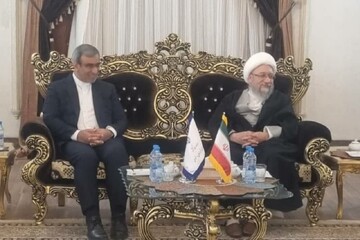 رئیس مجمع تشخیص مصلحت نظام وارد مشهد شد