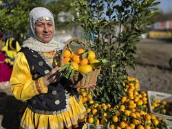 دومین جشنواره شکرانه برداشت پرتقال در روستای پرشکوه لنگرود آغاز شد