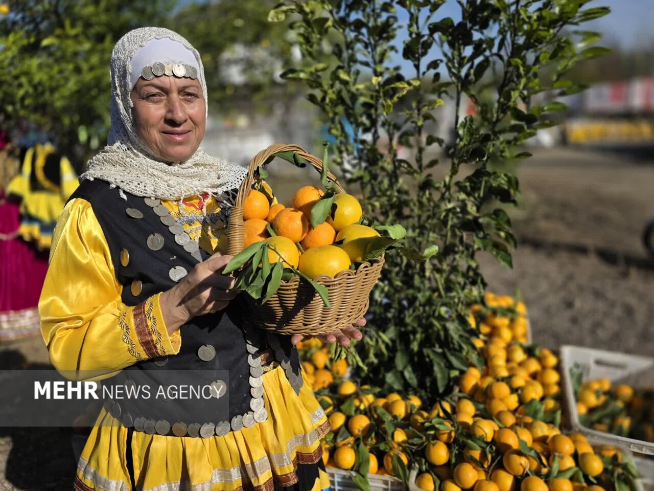 دومین جشنواره شکرانه برداشت پرتقال در روستای پرشکوه لنگرود آغاز شد دومین جشنواره شکرانه برداشت پرتقال در روستای پرشکوه لنگرود آغاز شد