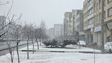 اردبیل سفید پوش شد