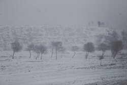 بازگشایی محور شاهرود آزادشهر پس از انسداد ناشی از برف و کولاک