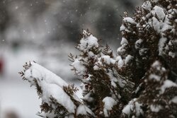 کاهش دما و بارش برف در خراسان رضوی