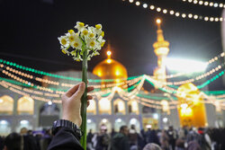 حرم مطهر امام رضا(ع) در شب میلاد حضرت علی(ع)