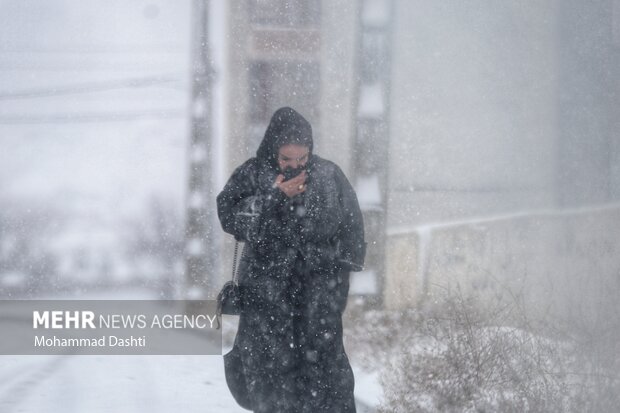 بارش برف و کولاک شدید در اردبیل