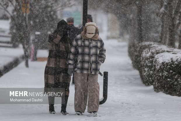 بارش برف و کولاک شدید در اردبیل