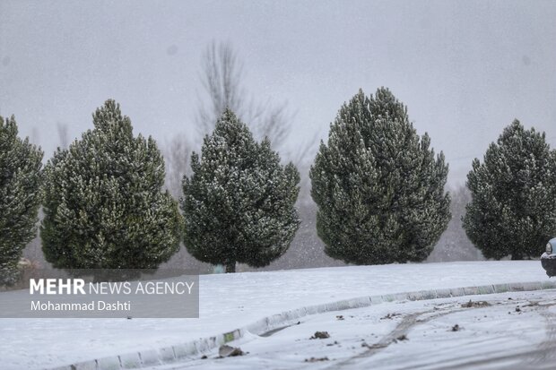 بارش برف و کولاک شدید در اردبیل