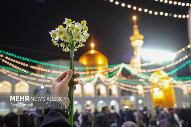 حرم مطهر امام رضا(ع) در شب میلاد حضرت علی(ع)
