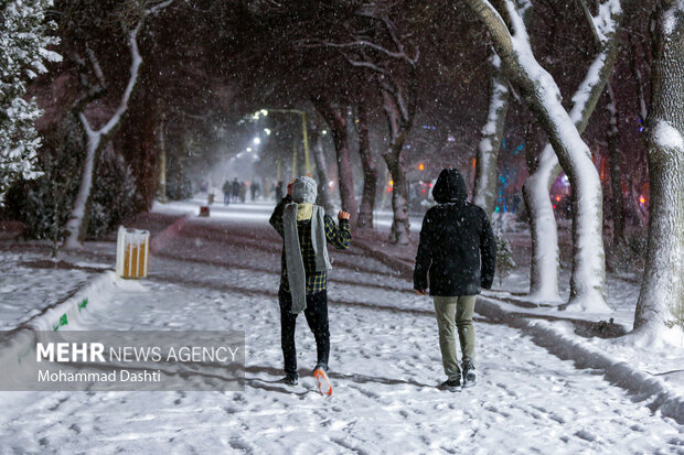 شب برفی اردبیل