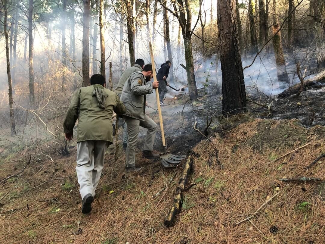 خودکار: ۷۵۰۰ متر از پوشش جنگلی لیسار تالش طعمه حریق شد خودکار: ۷۵۰۰ متر از پوشش جنگلی لیسار تالش طعمه حریق شد