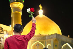 نجف اشرف در ایام ولادت حضرت علی (ع)