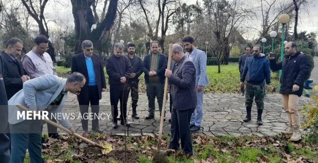 صدیقی: ۶۳ اصله نهال به نام سردار دل‌ ها در آستانه اشرفیه غرس شد