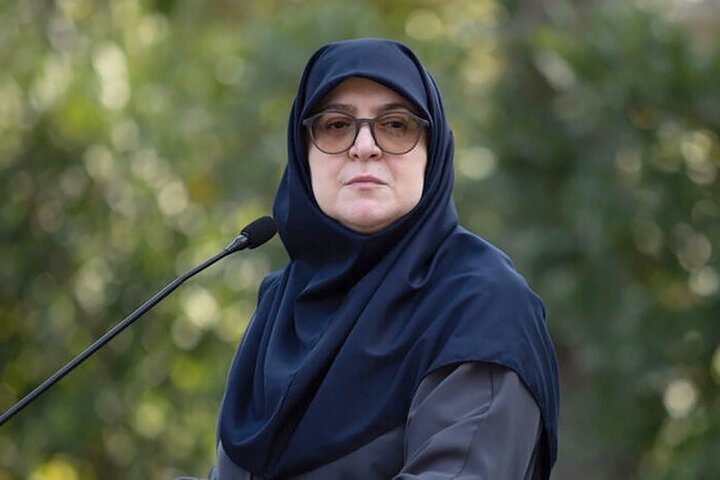 مهاجراني: نهجنا الدبلوماسية، ولكننا على أتم الاستعداد