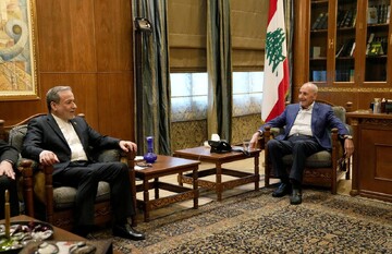 وزیر امور خارجه با رئیس پارلمان لبنان دیدار و گفتگو کرد