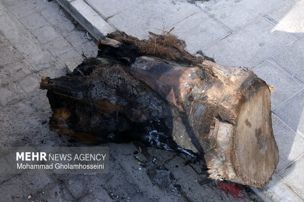 تخریب‌های آشوبگران در بوشهر