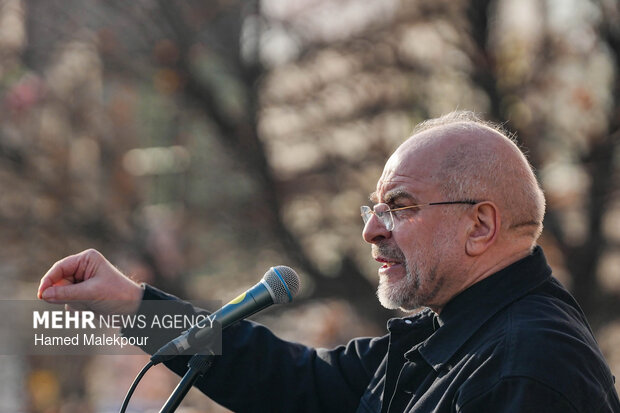 تجمع همبستگی ملی با سخنرانی رئیس مجلس 17