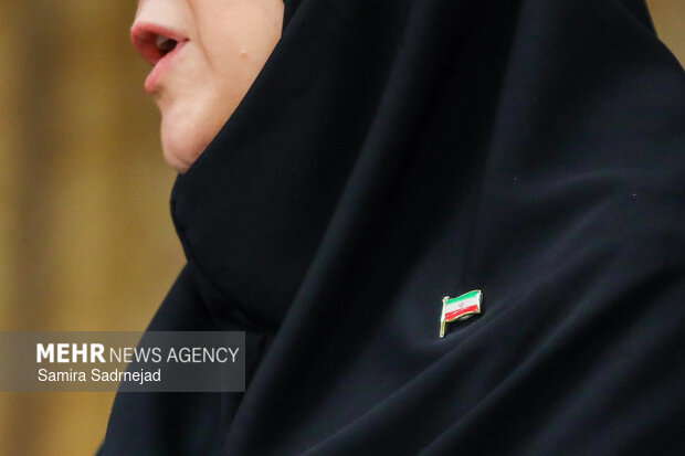 نشست خبری سخنگوی دولت