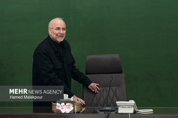 دیدار رئیس و اعضای کمیسیون کشاورزی، آب و منابع طبیعی با رئیس مجلس شورای اسلامی