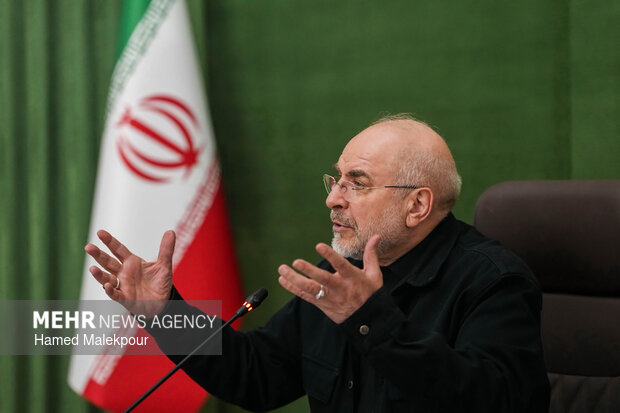 دیدار رئیس و اعضای کمیسیون کشاورزی، آب و منابع طبیعی با رئیس مجلس شورای اسلامی