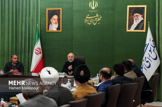 دیدار رئیس و اعضای کمیسیون کشاورزی، آب و منابع طبیعی با رئیس مجلس شورای اسلامی