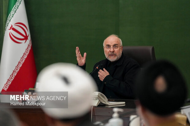 دیدار رئیس و اعضای کمیسیون کشاورزی، آب و منابع طبیعی با رئیس مجلس شورای اسلامی