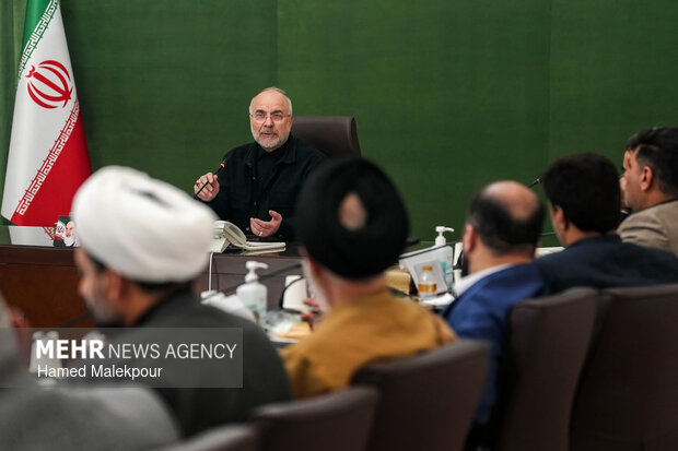 دیدار رئیس و اعضای کمیسیون کشاورزی، آب و منابع طبیعی با رئیس مجلس شورای اسلامی