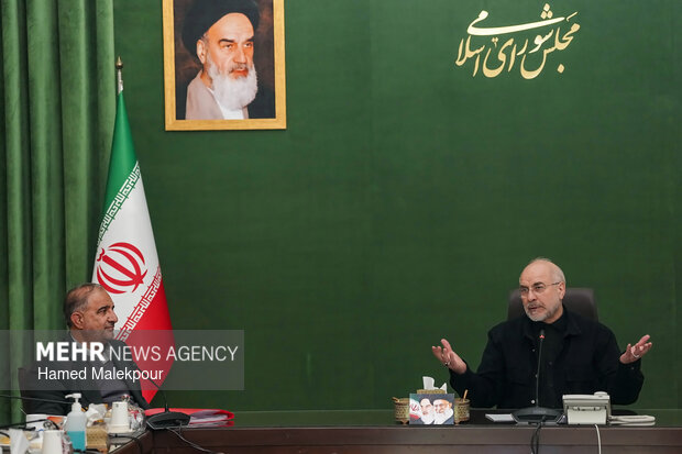 دیدار رئیس و اعضای کمیسیون کشاورزی، آب و منابع طبیعی با رئیس مجلس شورای اسلامی