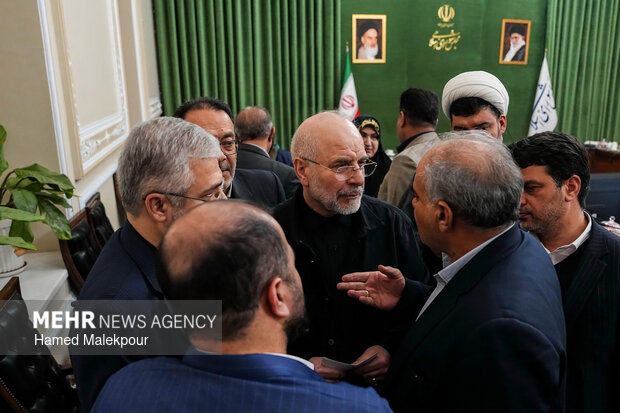 دیدار رئیس و اعضای کمیسیون کشاورزی، آب و منابع طبیعی با رئیس مجلس شورای اسلامی