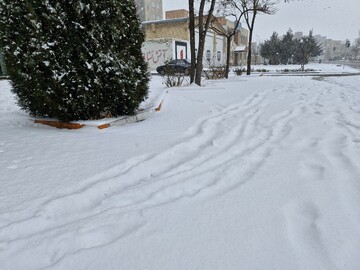 بازگشت برف به اردبیل