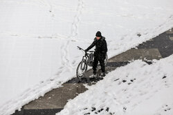 افزایش ۱۱۴ درصدی بارش‌ها در مراغه
