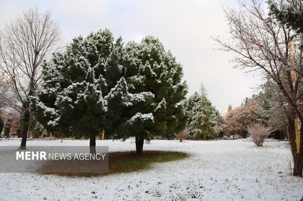 روز برفی دانشگاه لرستان