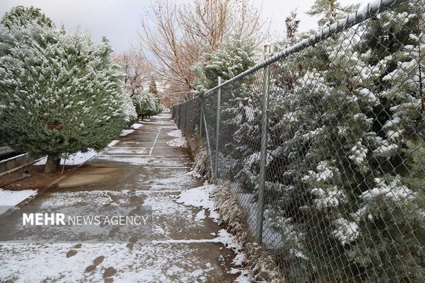 روز برفی دانشگاه لرستان